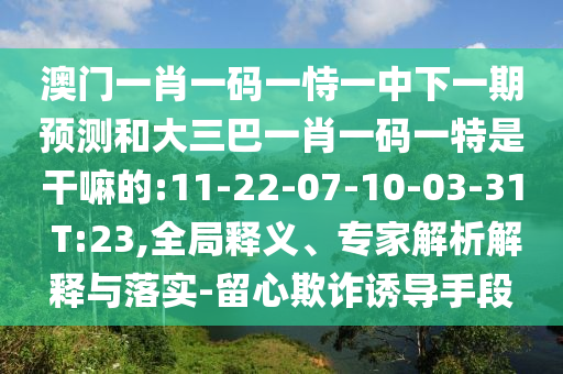 澳門一肖一碼一恃一中下一期預測和大三巴一肖一碼一特是干嘛的:11-22-07-10-03-31 T:23,全局釋義、專家解析解釋與落實-留心欺詐誘導手段