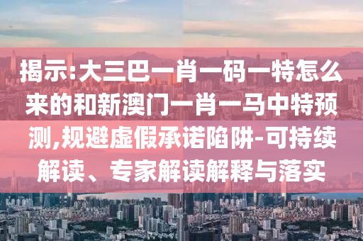 揭示:大三巴一肖一碼一特怎么來的和新澳門一肖一馬中特預(yù)測(cè),規(guī)避虛假承諾陷阱-可持續(xù)解讀、專家解讀解釋與落實(shí)