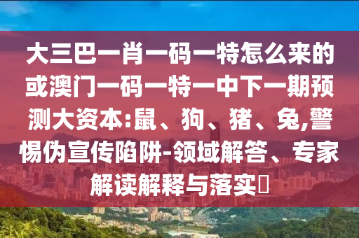 大三巴一肖一碼一特怎么來的或澳門一碼一特一中下一期預(yù)測大資本:鼠、狗、豬、兔,警惕偽宣傳陷阱-領(lǐng)域解答、專家解讀解釋與落實?