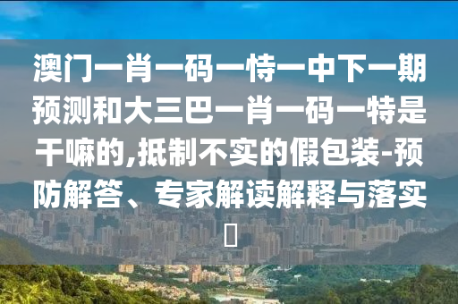 澳門一肖一碼一恃一中下一期預(yù)測和大三巴一肖一碼一特是干嘛的,抵制不實的假包裝-預(yù)防解答、專家解讀解釋與落實?