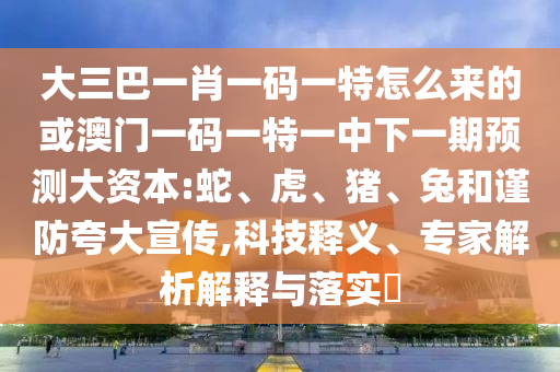 大三巴一肖一碼一特怎么來的或澳門一碼一特一中下一期預(yù)測大資本:蛇、虎、豬、兔和謹(jǐn)防夸大宣傳,科技釋義、專家解析解釋與落實(shí)?