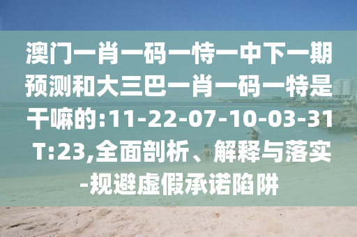澳門一肖一碼一恃一中下一期預(yù)測和大三巴一肖一碼一特是干嘛的:11-22-07-10-03-31 T:23,全面剖析、解釋與落實(shí)-規(guī)避虛假承諾陷阱