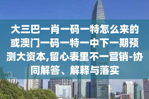 大三巴一肖一碼一特怎么來的或澳門一碼一特一中下一期預測大資本,留心表里不一營銷-協(xié)同解答、解釋與落實