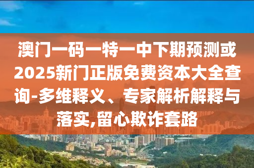 澳門一碼一特一中下期預(yù)測(cè)或2025新門正版免費(fèi)資本大全查詢-多維釋義、專家解析解釋與落實(shí),留心欺詐套路